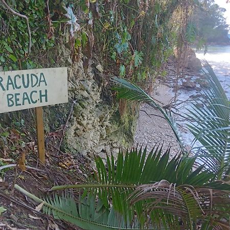 Barracuda Beach Ξενοδοχείο Πορτ Αντόνιο Εξωτερικό φωτογραφία