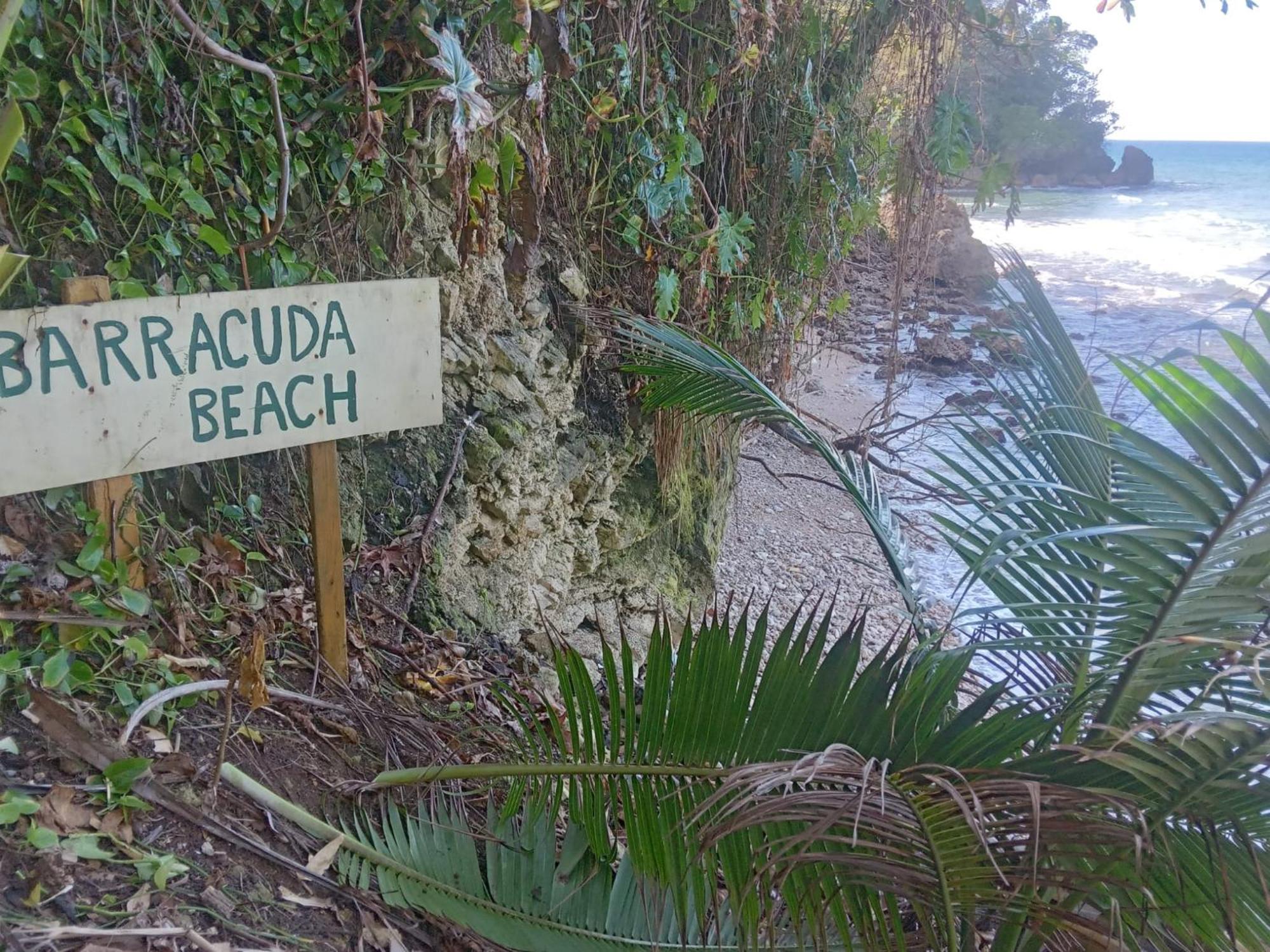 Barracuda Beach Ξενοδοχείο Πορτ Αντόνιο Εξωτερικό φωτογραφία