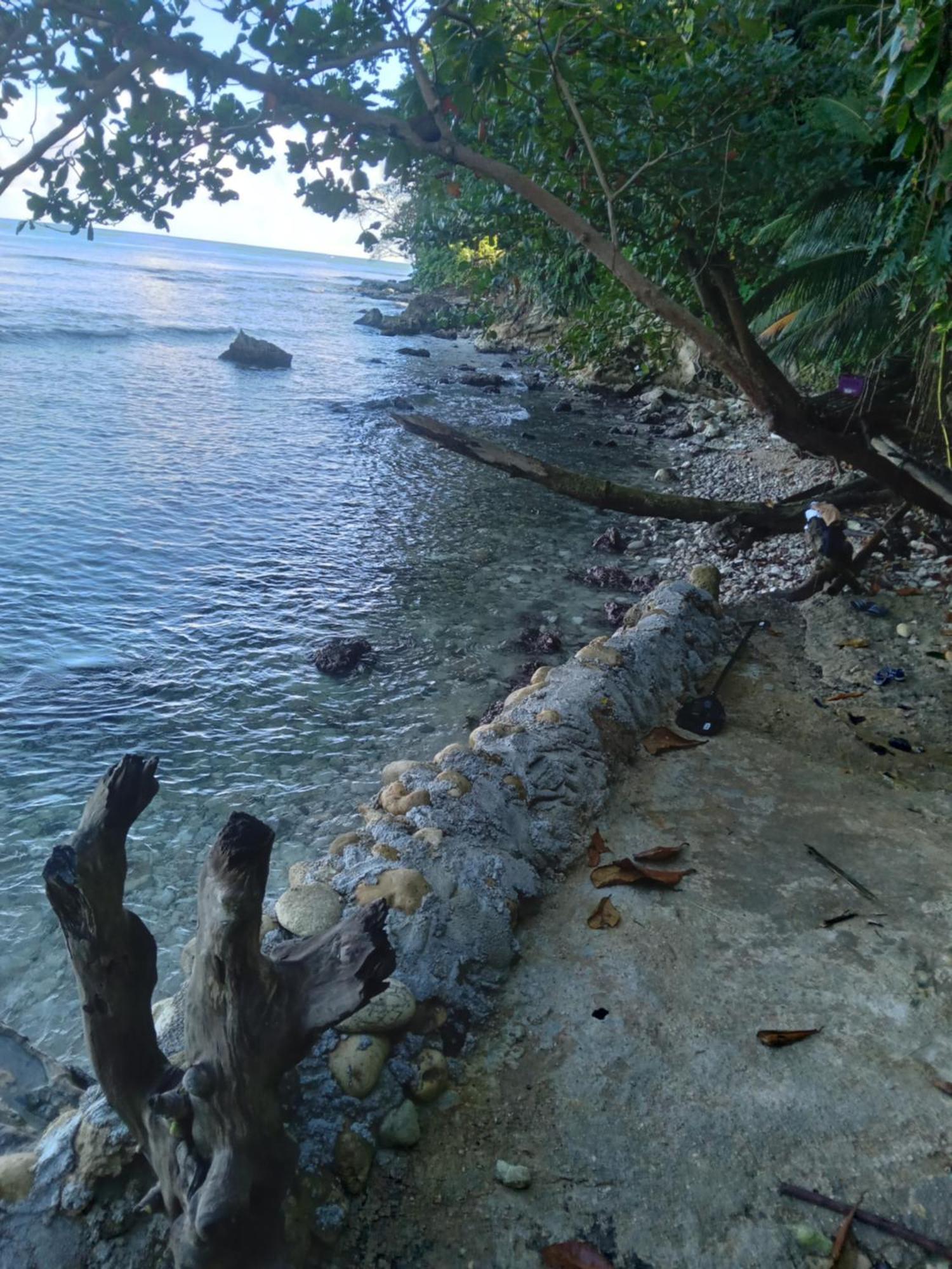 Barracuda Beach Ξενοδοχείο Πορτ Αντόνιο Εξωτερικό φωτογραφία