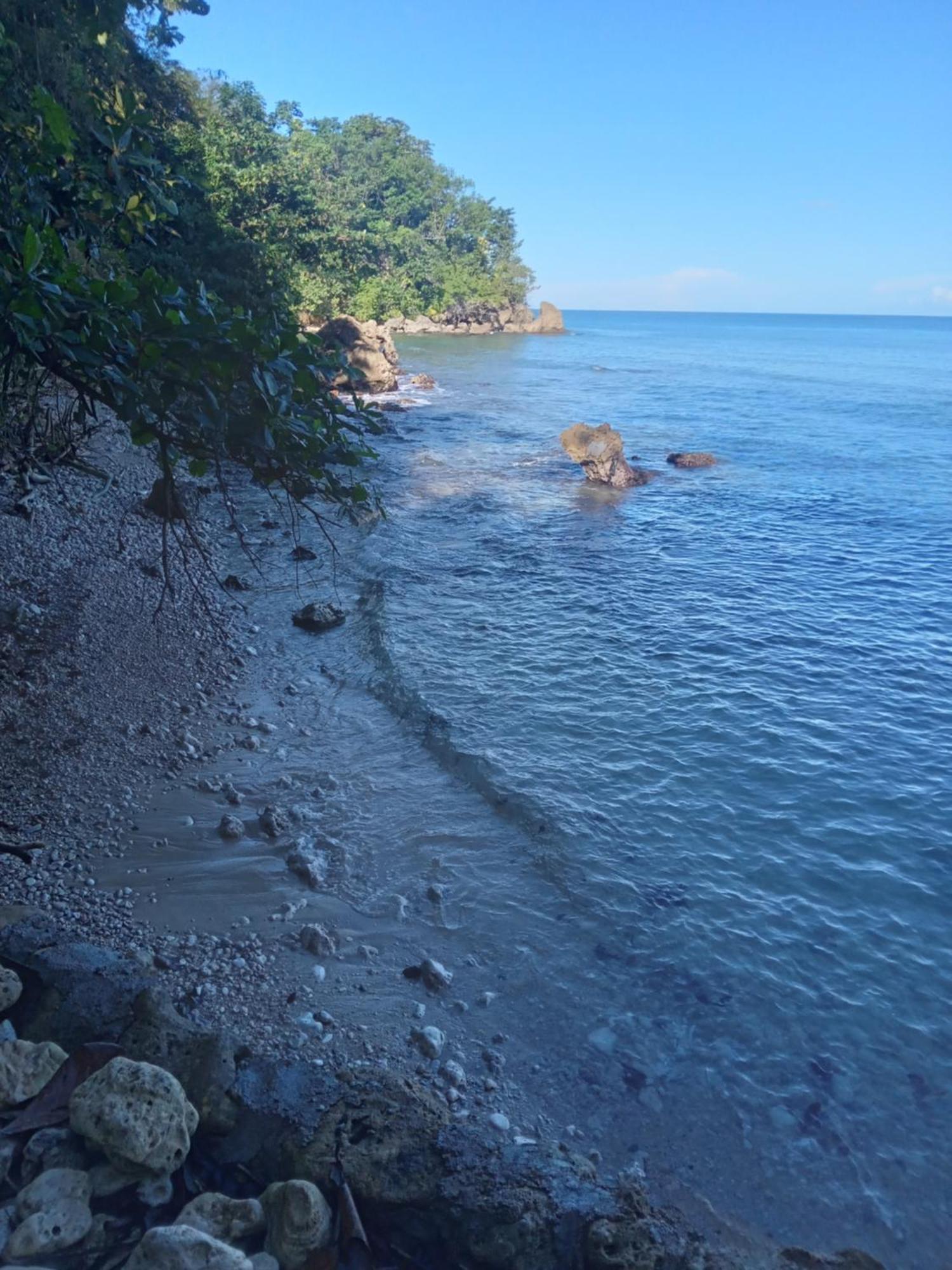 Barracuda Beach Ξενοδοχείο Πορτ Αντόνιο Εξωτερικό φωτογραφία