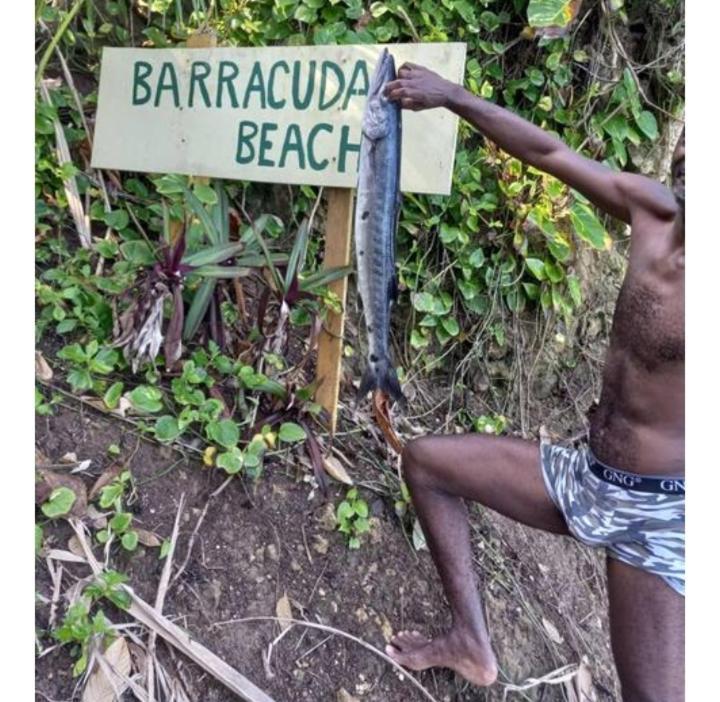 Barracuda Beach Ξενοδοχείο Πορτ Αντόνιο Εξωτερικό φωτογραφία