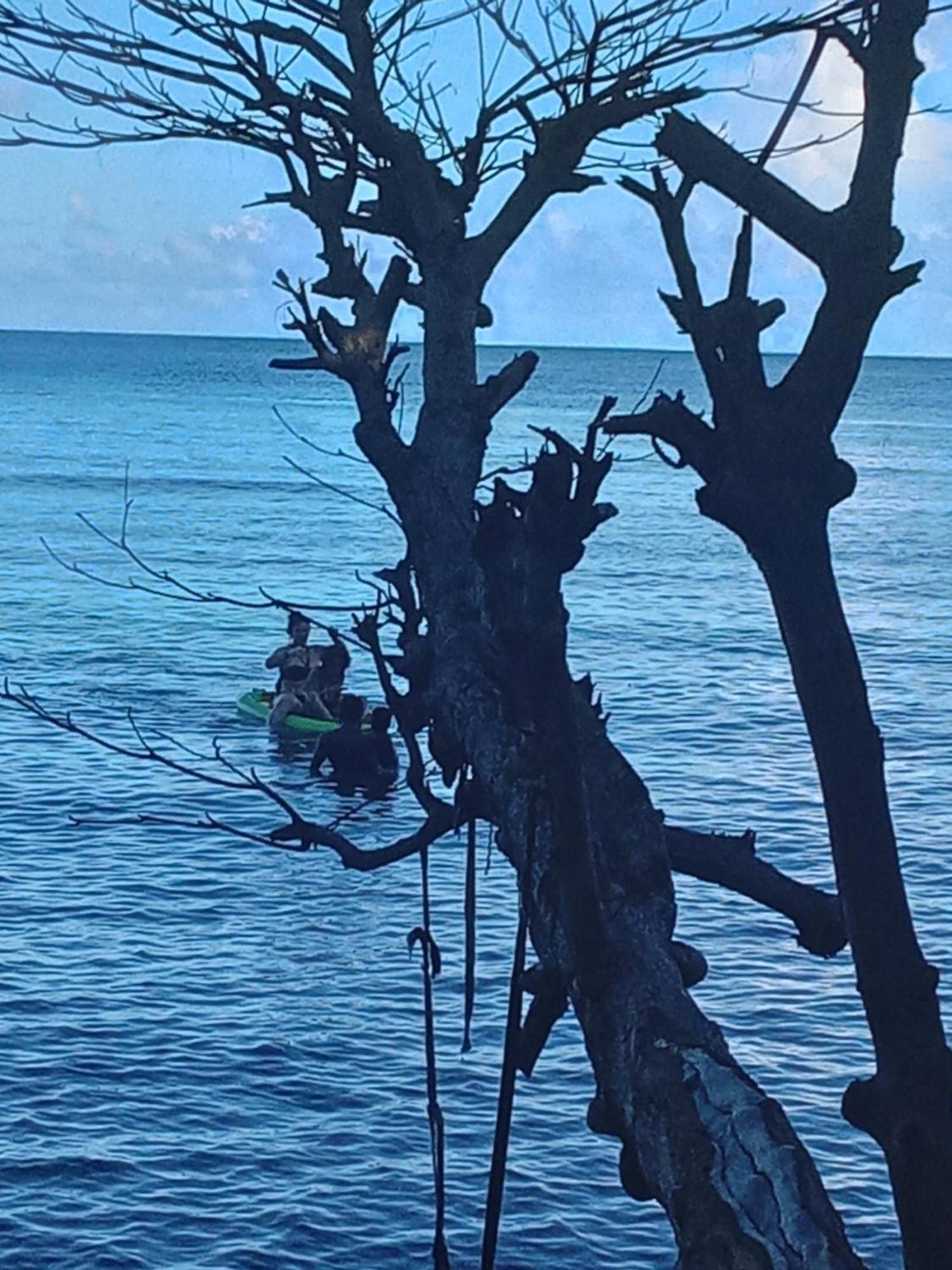 Barracuda Beach Ξενοδοχείο Πορτ Αντόνιο Εξωτερικό φωτογραφία